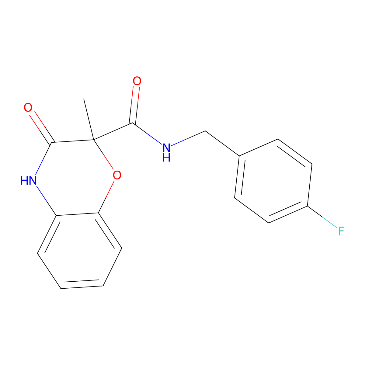 N-(4-fluorobenzyl)-2-methyl-3-oxo-3,4-dihydro-2H-1,4-benzoxazine-2-carboxamide molecular structure, CAS 861208-00-6