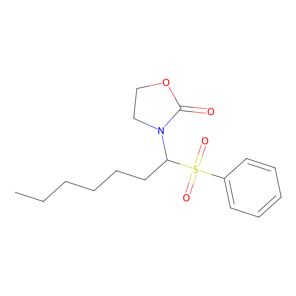 3-[1-(Benzenesulfonyl)heptyl]-1,3-oxazolidin-2-one molecular structure, CAS 861209-18-9