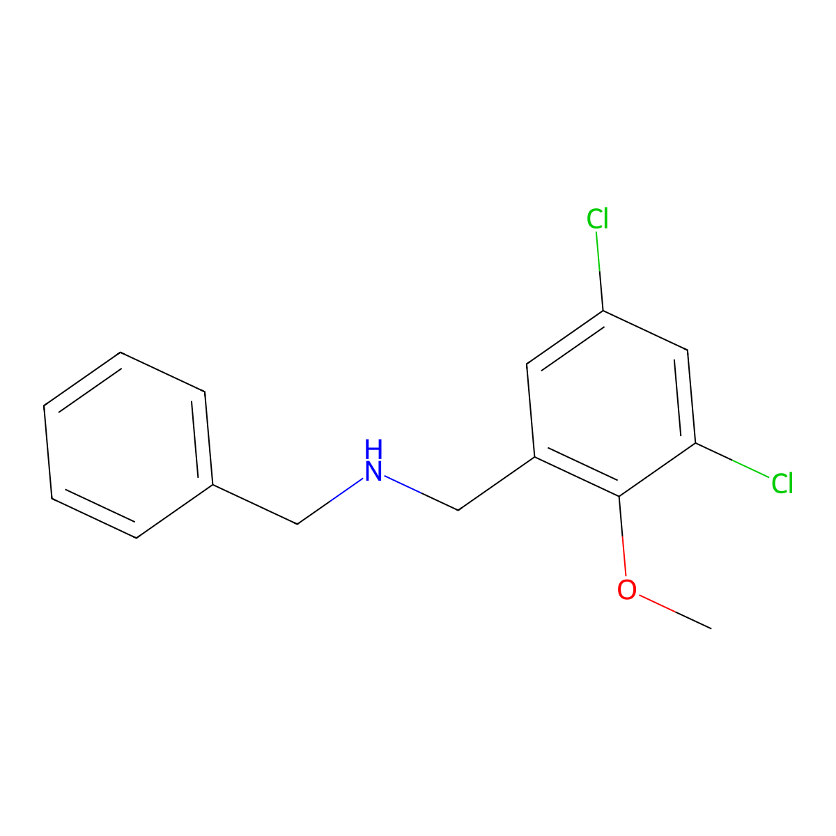 N-benzyl-N-(3,5-dichloro-2-methoxybenzyl)amine molecular structure, CAS 861232-41-9