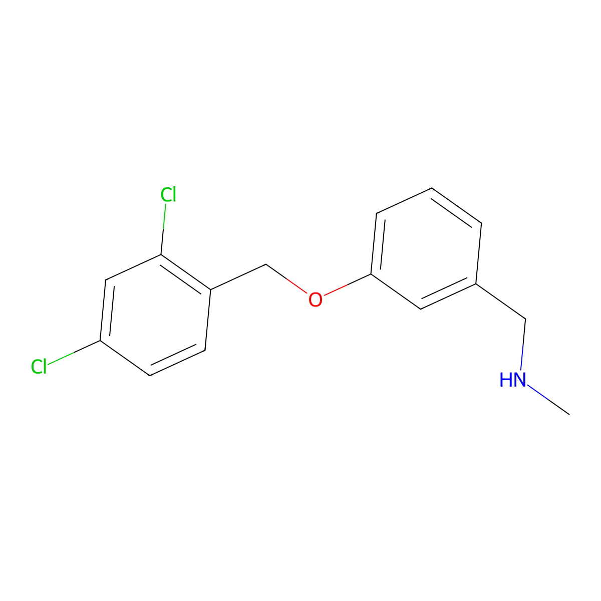 N-{3-[(2,4-dichlorobenzyl)oxy]benzyl}-N-methylamine molecular structure, CAS 861232-44-2