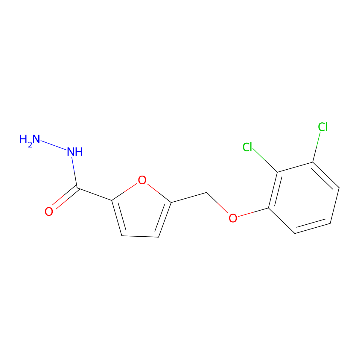 5-[(2,3-Dichlorophenoxy)methyl]furan-2-carbohydrazide molecular structure, CAS 861237-85-6