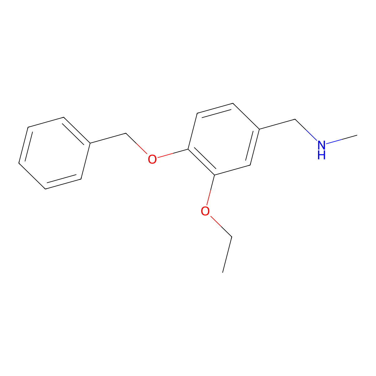 N-[4-(benzyloxy)-3-ethoxybenzyl]-N-methylamine molecular structure, CAS 861409-49-6