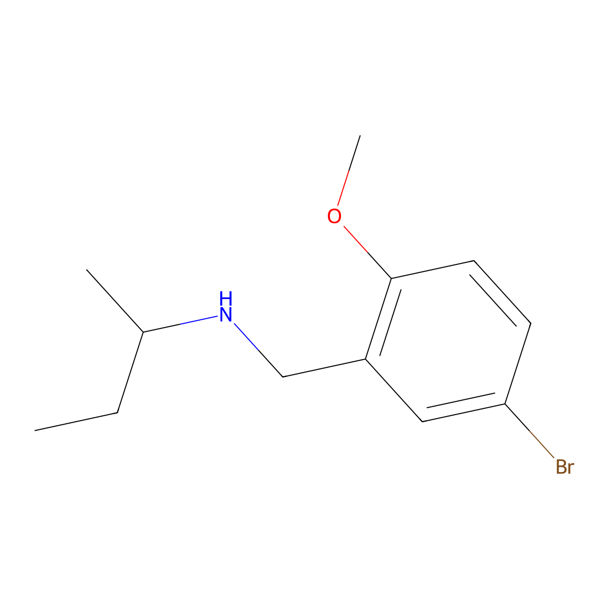 N-(5-bromo-2-methoxybenzyl)butan-2-amine molecular structure, CAS 861409-74-7