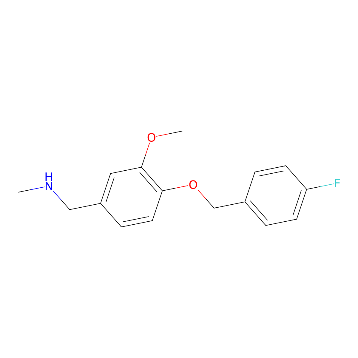 ({4-[(4-Fluorophenyl)methoxy]-3-methoxyphenyl}methyl)methylamine molecular structure, CAS 861433-05-8