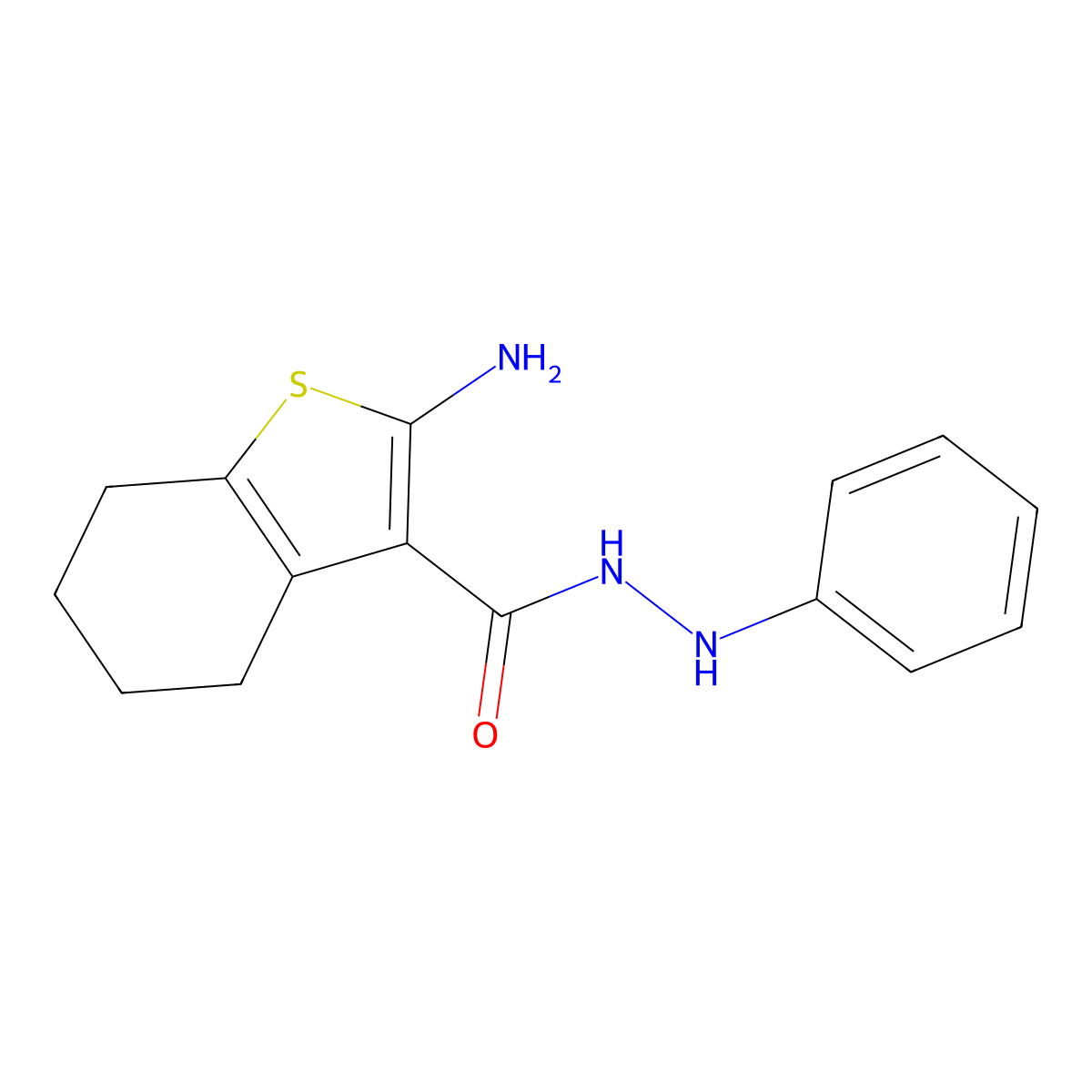 2-amino-N'-phenyl-4,5,6,7-tetrahydro-1-benzothiophene-3-carbohydrazide molecular structure, CAS 861444-02-2