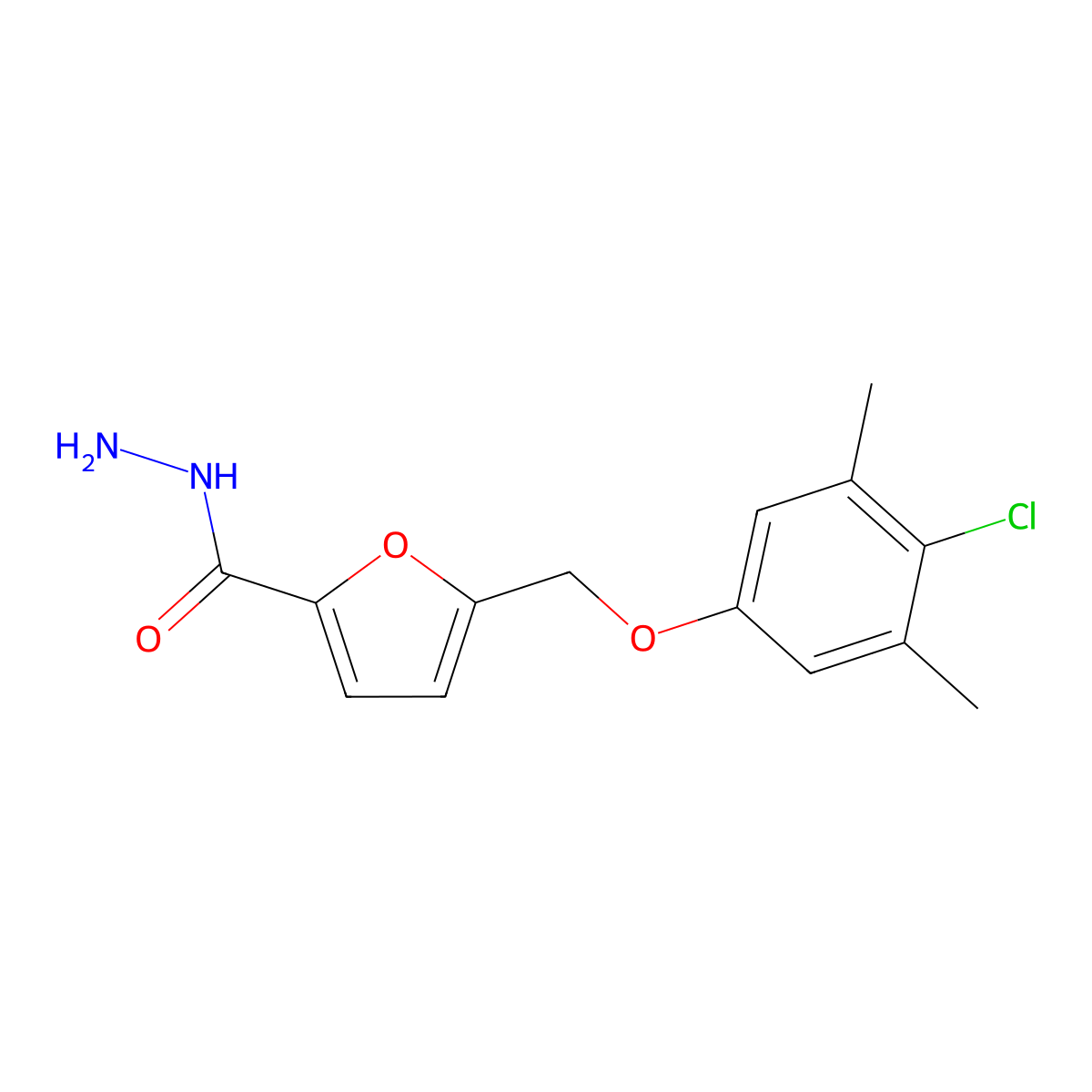 5-[(4-Chloro-3,5-dimethylphenoxy)methyl]-2-furohydrazide molecular structure, CAS 861508-50-1