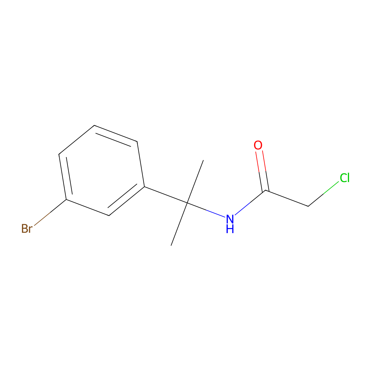 N-(2-(3-bromophenyl)propan-2-yl)-2-chloroacetamide molecular structure, CAS 861840-21-3