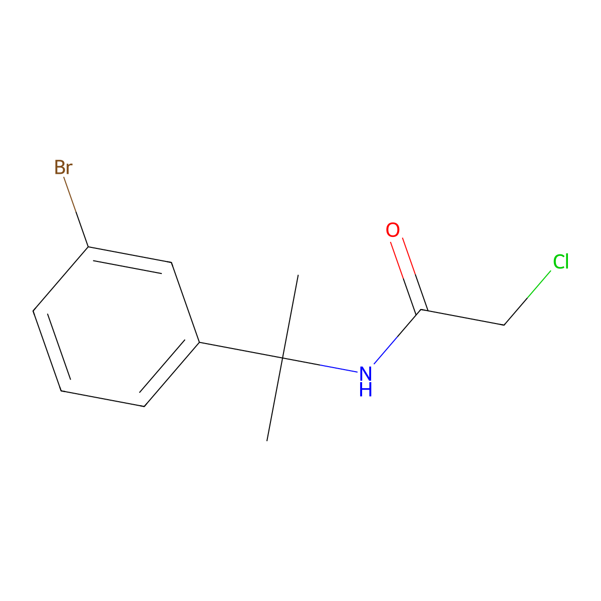 N-(2-(3-bromophenyl)propan-2-yl)-2-chloroacetamide molecular structure, CAS 861840-21-3