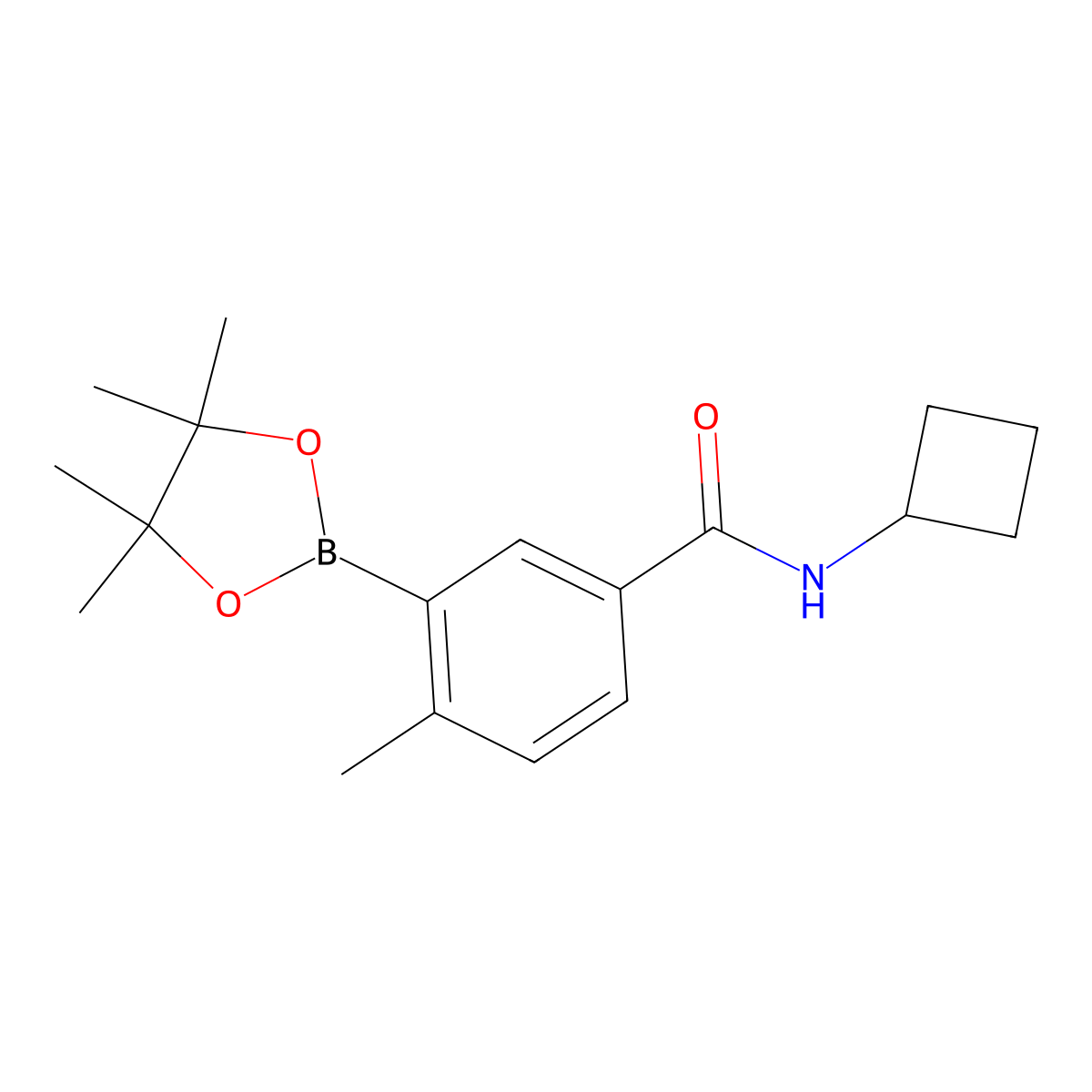 N-cyclobutyl-4-methyl-3-(4,4,5,5-tetramethyl-1,3,2-dioxaborolan-2-yl)benzamide molecular structure, CAS 861905-20-6