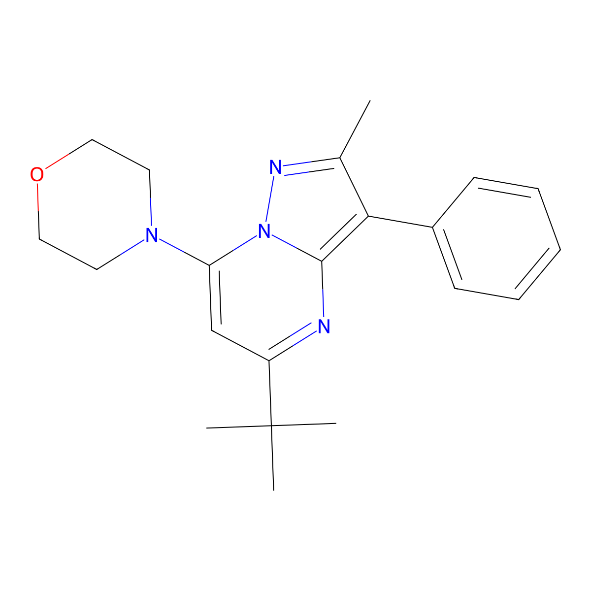 4-(5-(Tert-butyl)-2-methyl-3-phenylpyrazolo[1,5-a]pyrimidin-7-yl)morpholine molecular structure, CAS 862194-17-0