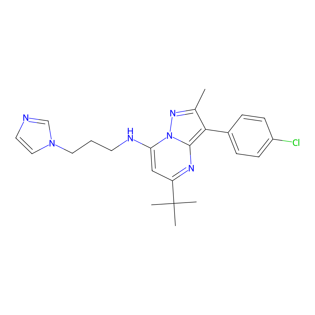 5-tert-butyl-3-(4-chlorophenyl)-N-[3-(1H-imidazol-1-yl)propyl]-2-methylpyrazolo[1,5-a]pyrimidin-7-amine molecular structure, CAS 862244-54-0