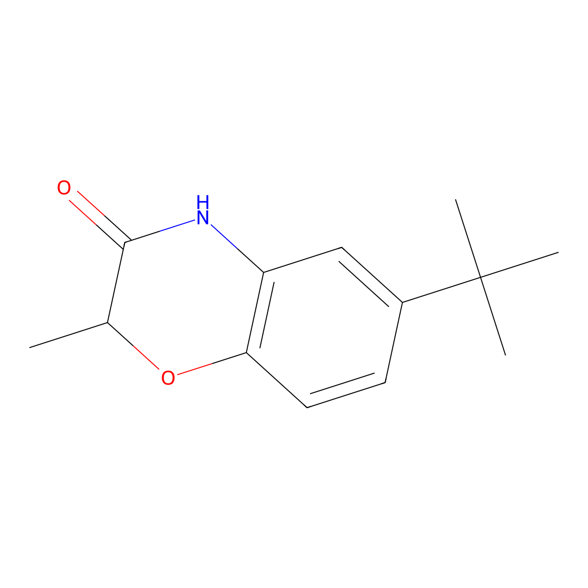 6-Tert-butyl-2-methyl-3,4-dihydro-2H-1,4-benzoxazin-3-one molecular structure, CAS 862249-75-0