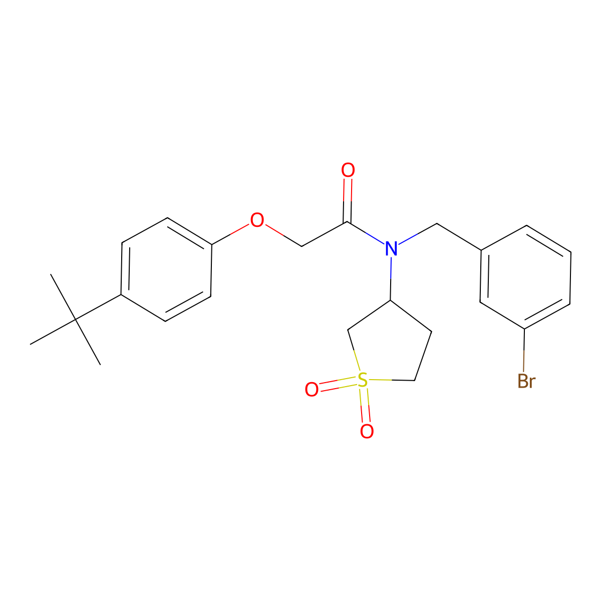 N-(3-bromobenzyl)-2-(4-tert-butylphenoxy)-N-(1,1-dioxidotetrahydrothiophen-3-yl)acetamide molecular structure, CAS 862489-71-2