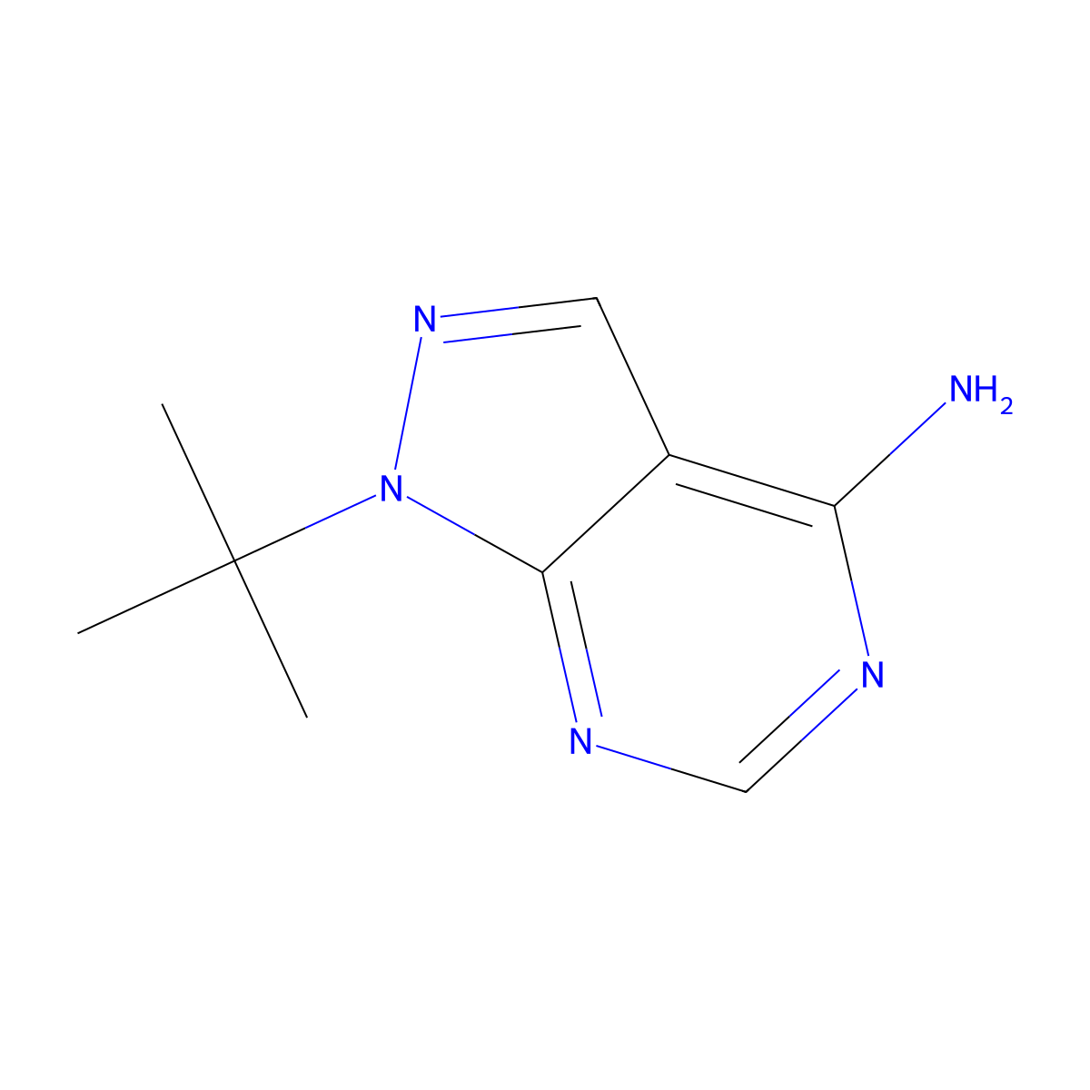 1-tert-butyl-1H-pyrazolo[3,4-d]pyrimidin-4-amine molecular structure, CAS 862728-60-7