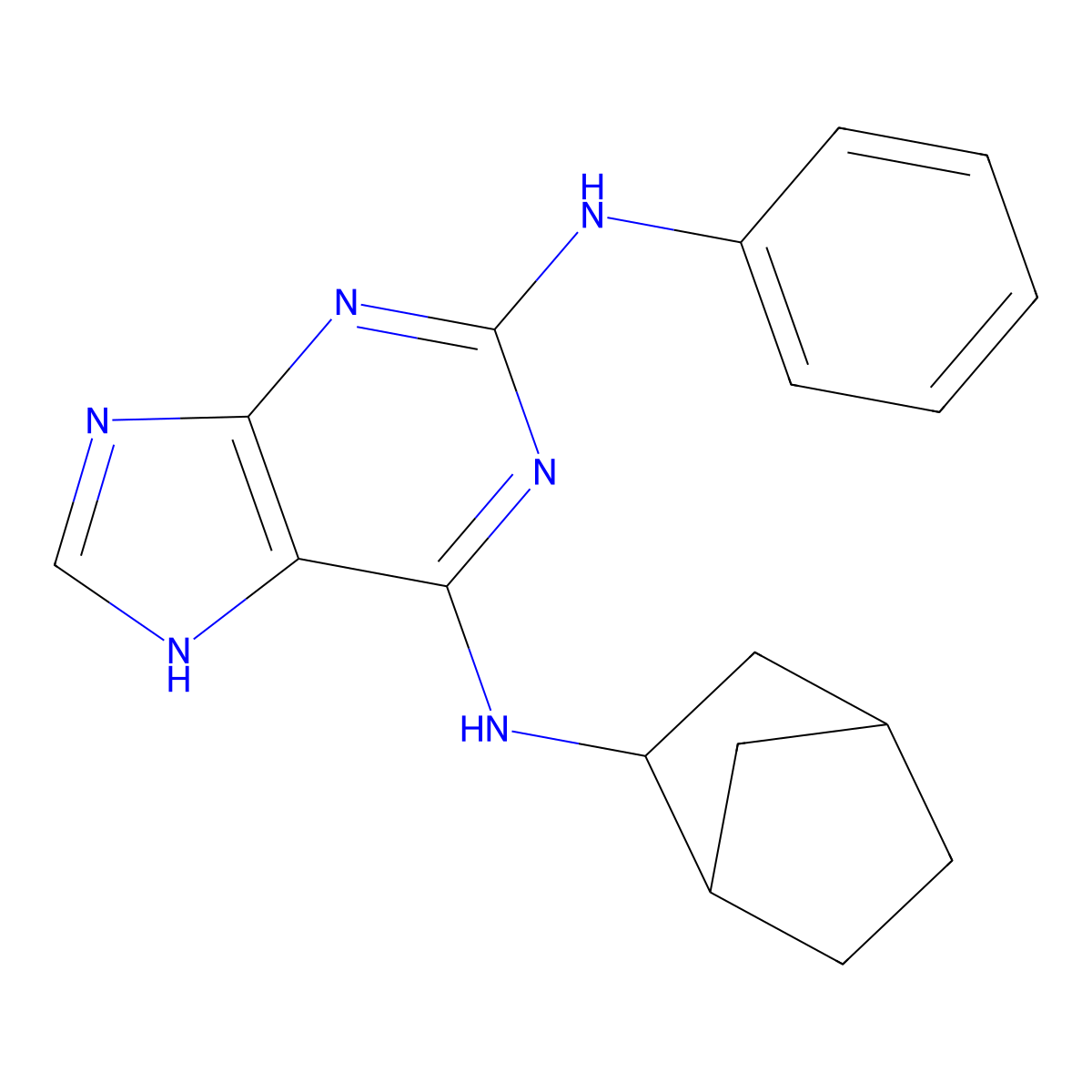 2-phenyl-amino-N6-endo-norbornyladenine molecular structure, CAS 863202-33-9