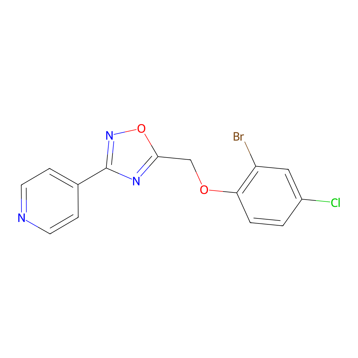 5-[(2-Bromo-4-chlorophenoxy)methyl]-3-pyridin-4-yl-1,2,4-oxadiazole molecular structure, CAS 863437-94-9