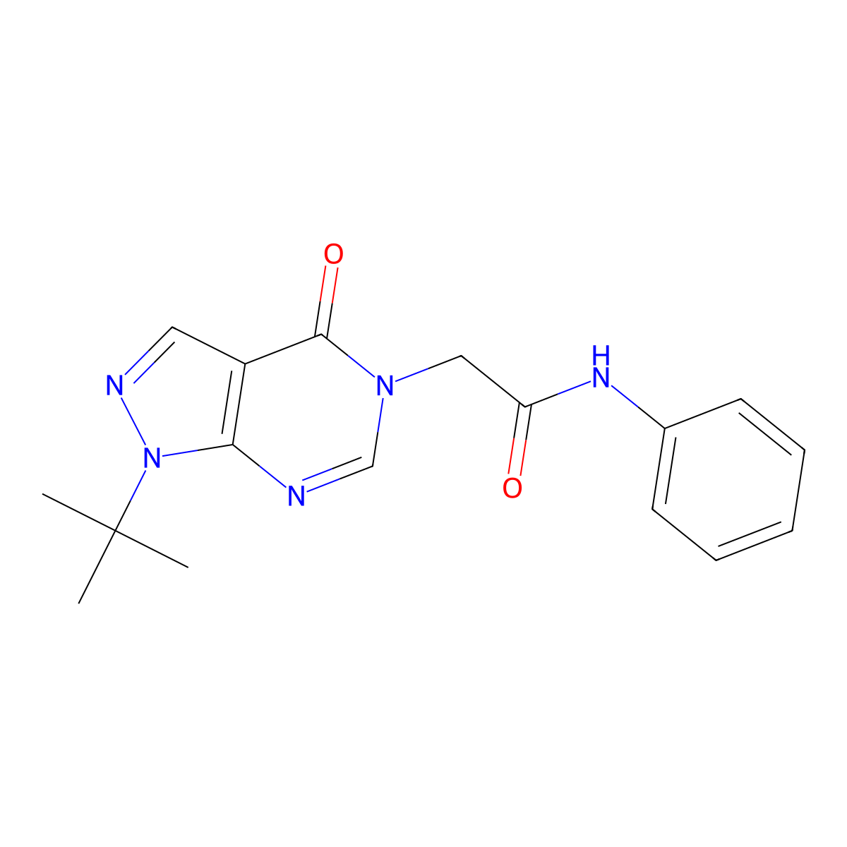 2-(1-tert-butyl-4-oxopyrazolo[3,4-d]pyrimidin-5-yl)-N-phenylacetamide molecular structure, CAS 863447-62-5