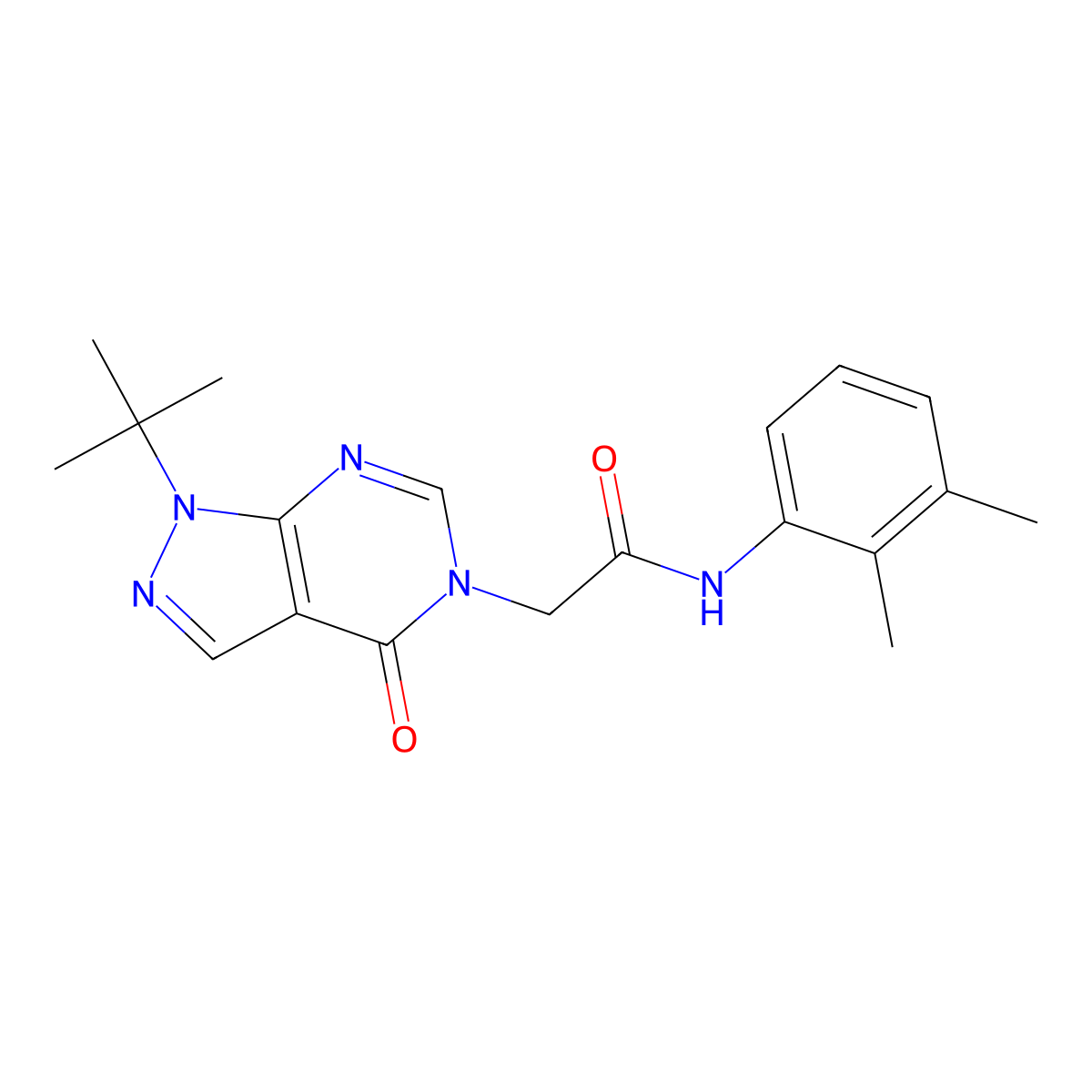2-(1-tert-butyl-4-oxopyrazolo[3,4-d]pyrimidin-5-yl)-N-(2,3-dimethylphenyl)acetamide molecular structure, CAS 863447-67-0