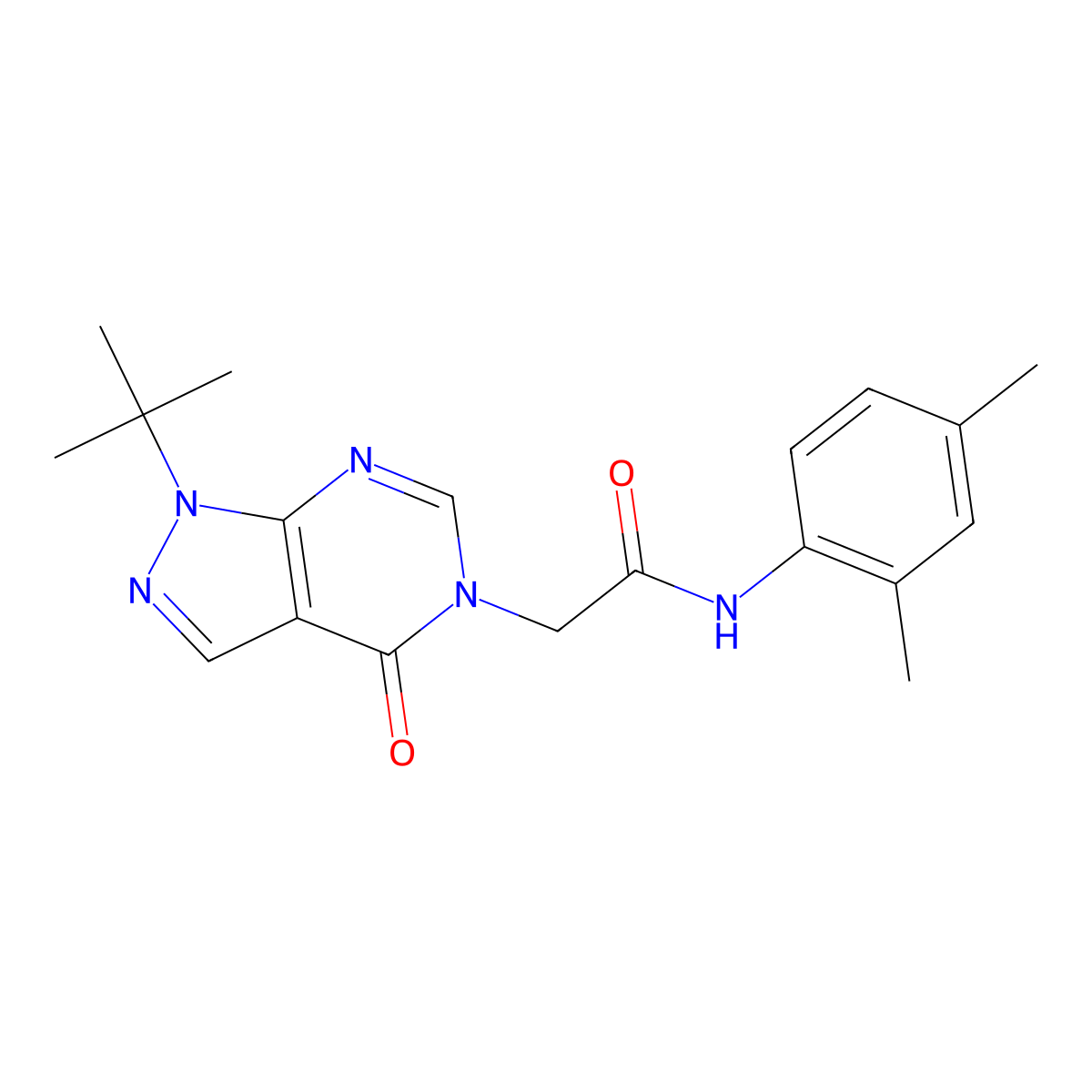 2-(1-tert-butyl-4-oxopyrazolo[3,4-d]pyrimidin-5-yl)-N-(2,4-dimethylphenyl)acetamide molecular structure, CAS 863447-69-2