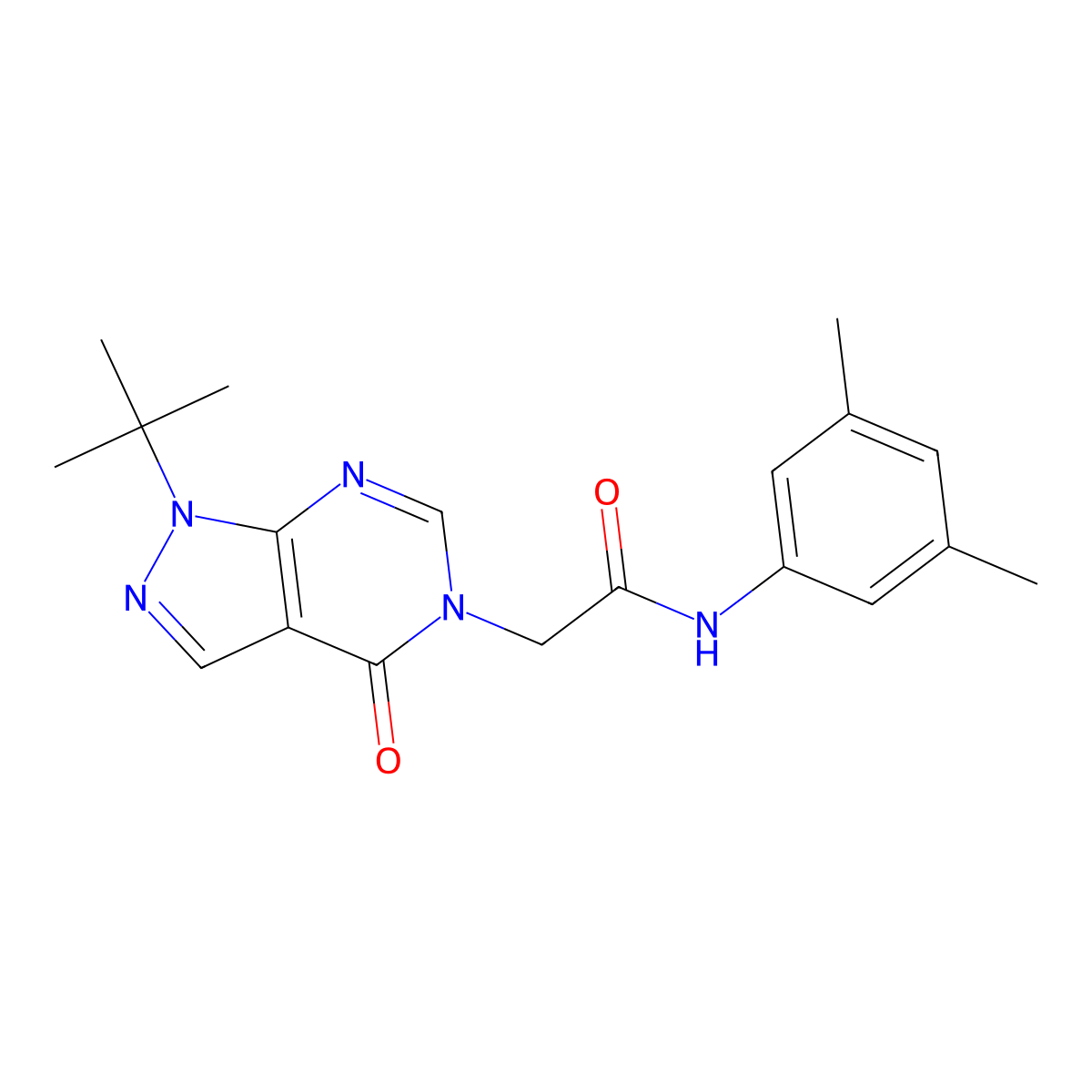 2-(1-tert-butyl-4-oxopyrazolo[3,4-d]pyrimidin-5-yl)-N-(3,5-dimethylphenyl)acetamide molecular structure, CAS 863447-70-5