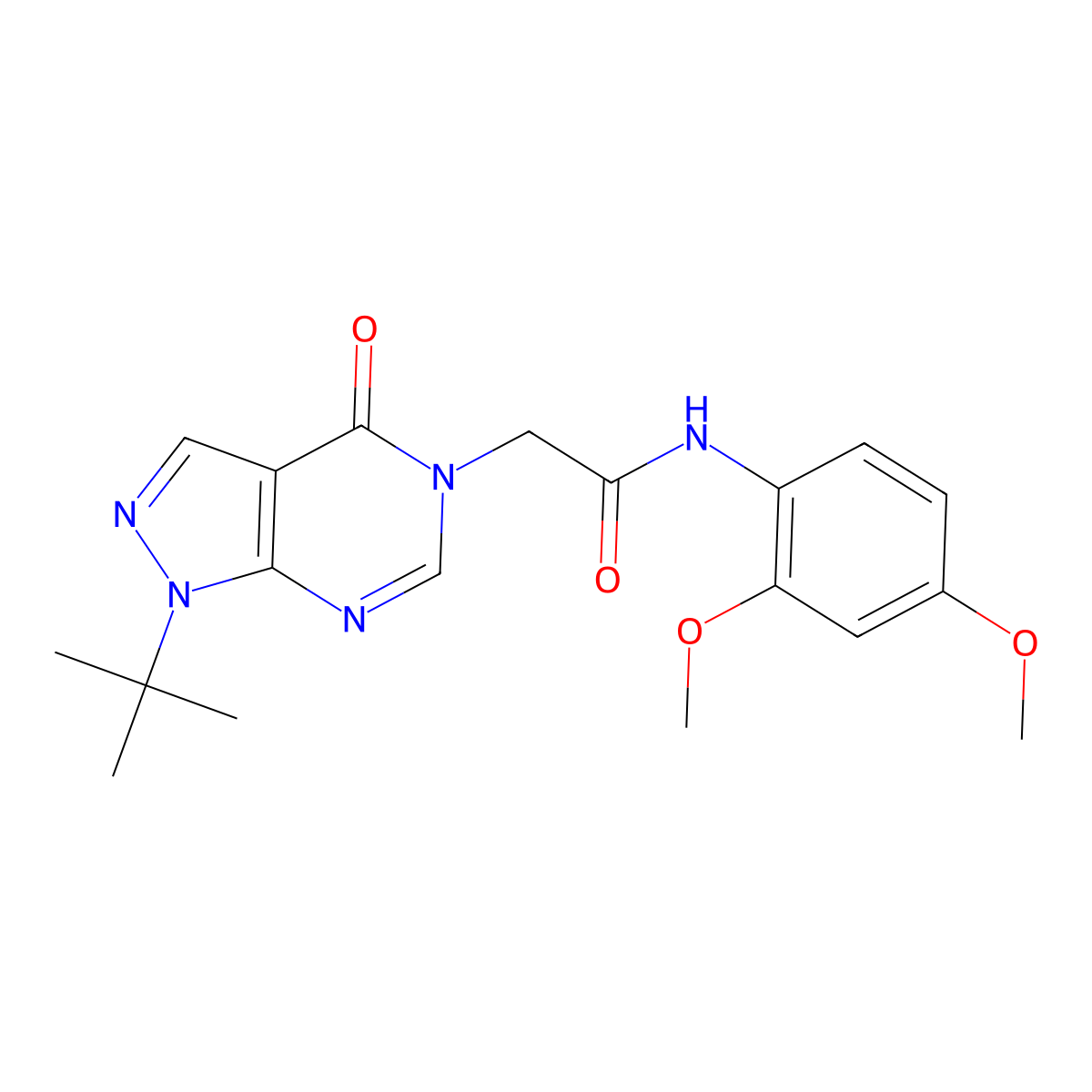 2-(1-tert-butyl-4-oxopyrazolo[3,4-d]pyrimidin-5-yl)-N-(2,4-dimethoxyphenyl)acetamide molecular structure, CAS 863447-88-5