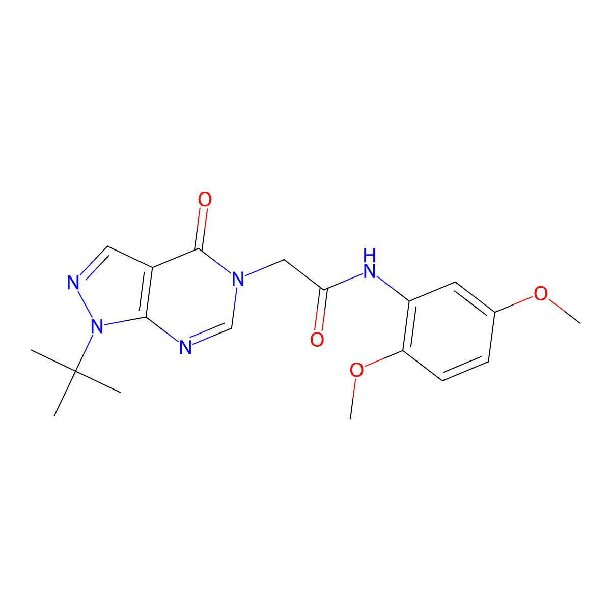 2-(1-tert-butyl-4-oxopyrazolo[3,4-d]pyrimidin-5-yl)-N-(2,5-dimethoxyphenyl)acetamide molecular structure, CAS 863447-89-6