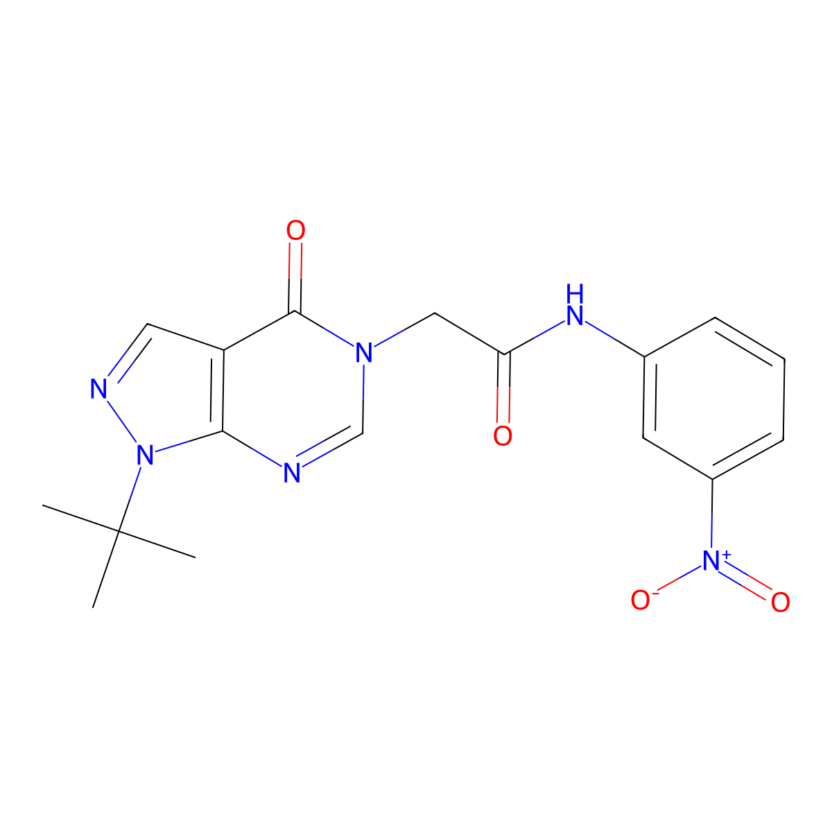 2-(1-(tert-butyl)-4-oxo-1H-pyrazolo[3,4-d]pyrimidin-5(4H)-yl)-N-(3-nitrophenyl)acetamide molecular structure, CAS 863447-96-5