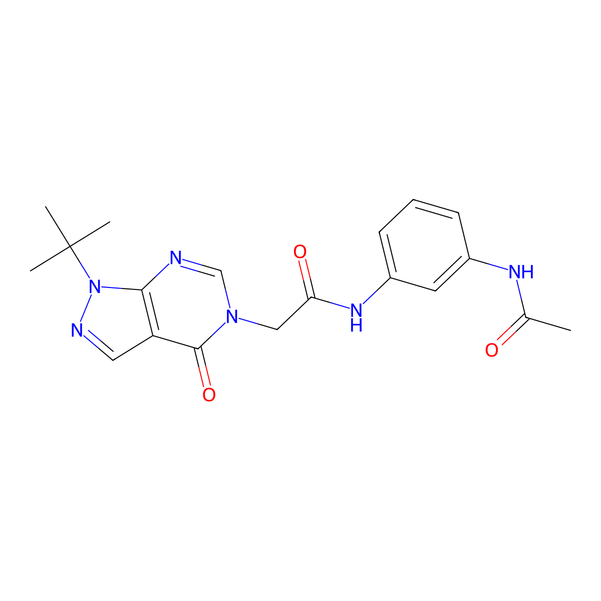 N-(3-acetamidophenyl)-2-(1-tert-butyl-4-oxopyrazolo[3,4-d]pyrimidin-5-yl)acetamide molecular structure, CAS 863448-02-6