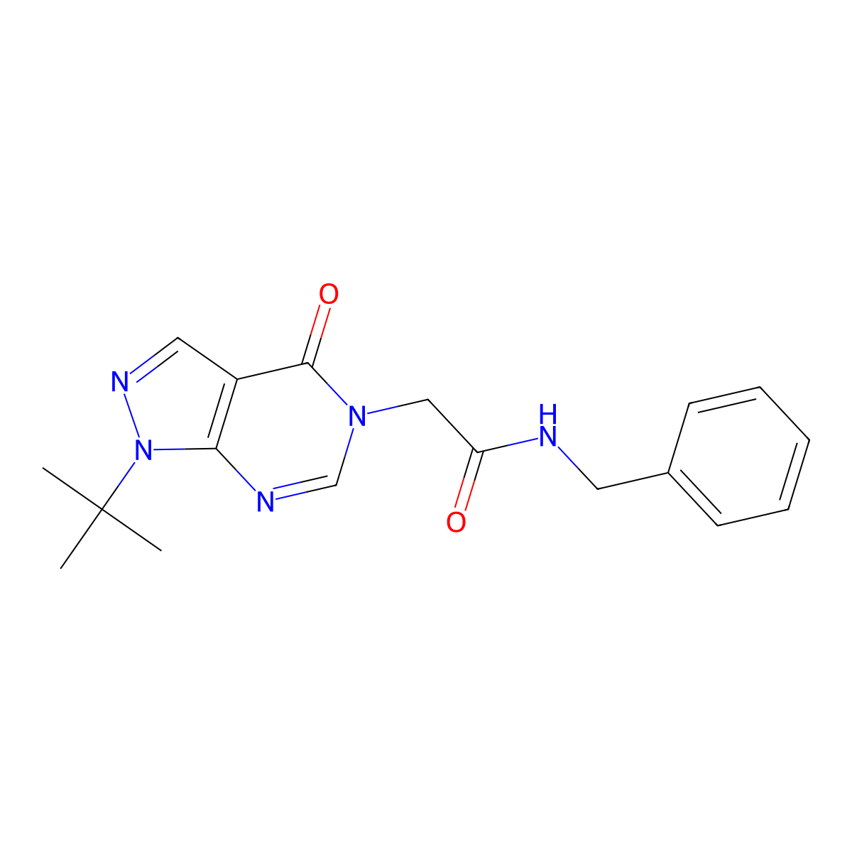 N-benzyl-2-(1-(tert-butyl)-4-oxo-1H-pyrazolo[3,4-d]pyrimidin-5(4H)-yl)acetamide molecular structure, CAS 863448-06-0