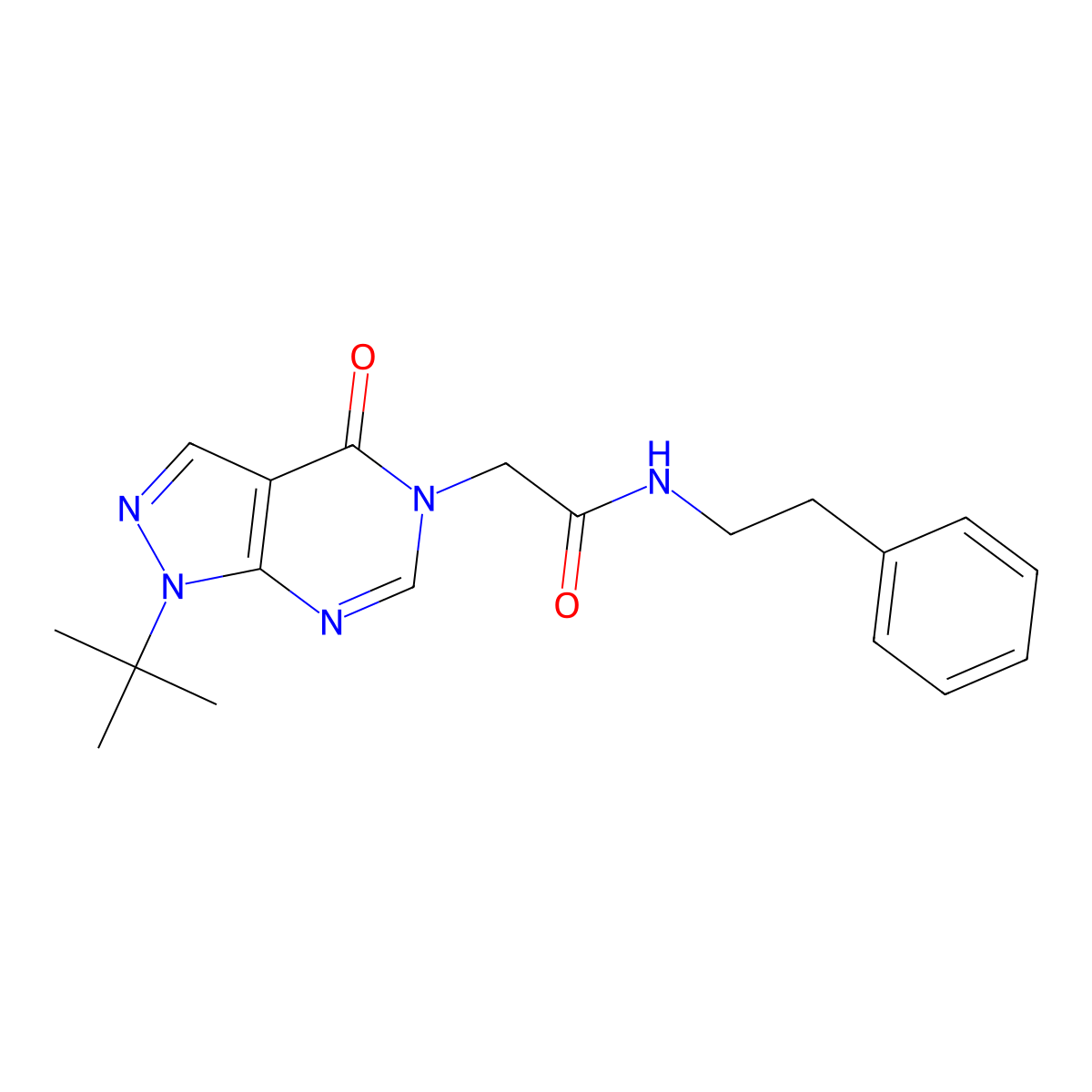 2-(1-tert-butyl-4-oxo-1,4-dihydro-5H-pyrazolo[3,4-d]pyrimidin-5-yl)-N-(2-phenylethyl)acetamide molecular structure, CAS 863448-11-7