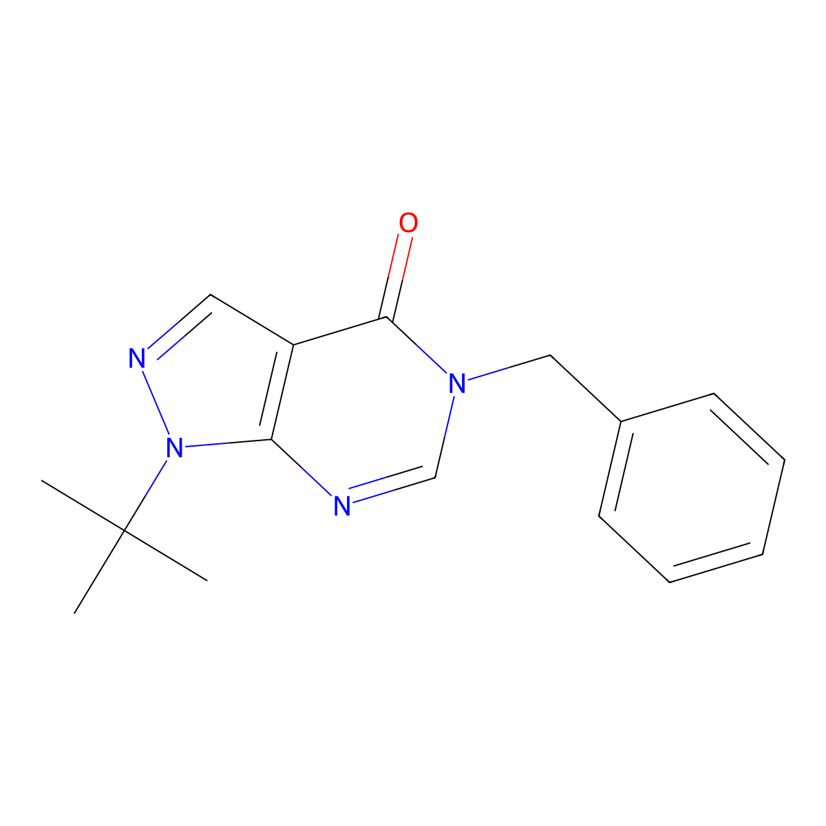 5-benzyl-1-(tert-butyl)-1H-pyrazolo[3,4-d]pyrimidin-4(5H)-one molecular structure, CAS 863448-14-0