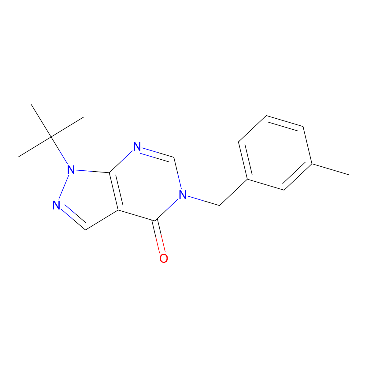1-(tert-butyl)-5-(3-methylbenzyl)-1H-pyrazolo[3,4-d]pyrimidin-4(5H)-one molecular structure, CAS 863448-23-1