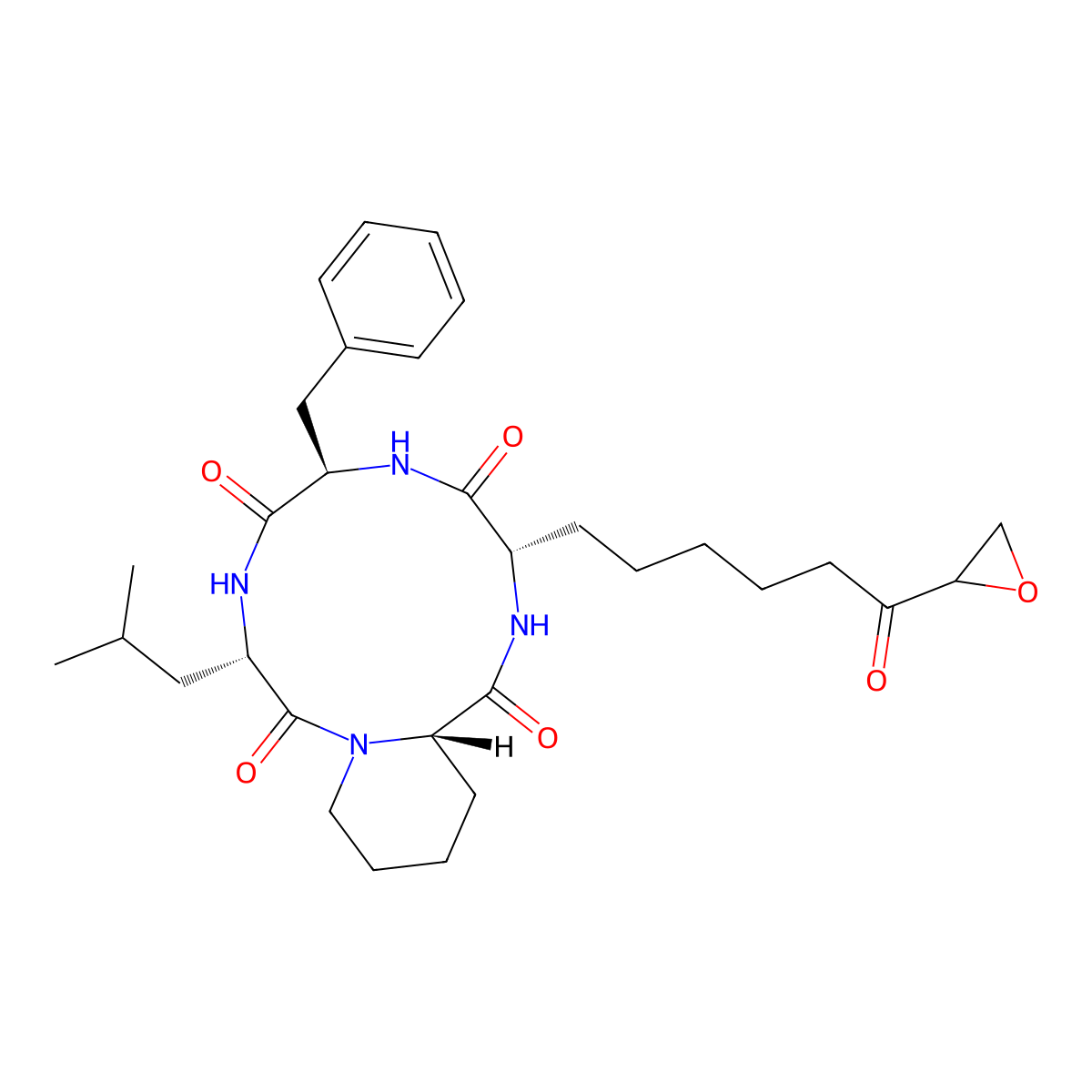WF 3161 molecular structure, CAS 86402-37-1