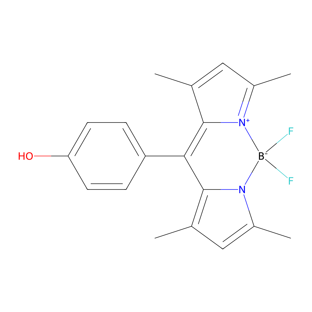 4,4-Difluoro-8(4'-hydroxyphenyl)-1,3,5,7-tetramethyl-4-bora-3a,4a-diaza-s-indacene molecular structure, CAS 870992-10-2